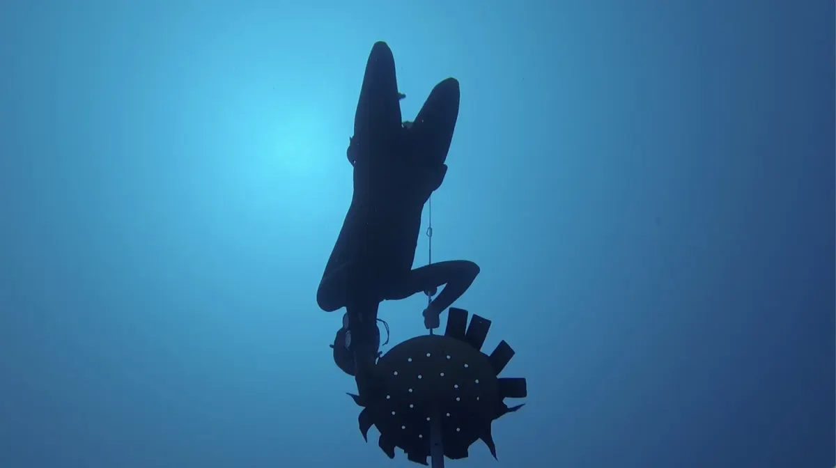 Freedivers and snorkelers during an Orenda ocean adventure near Koh Tao