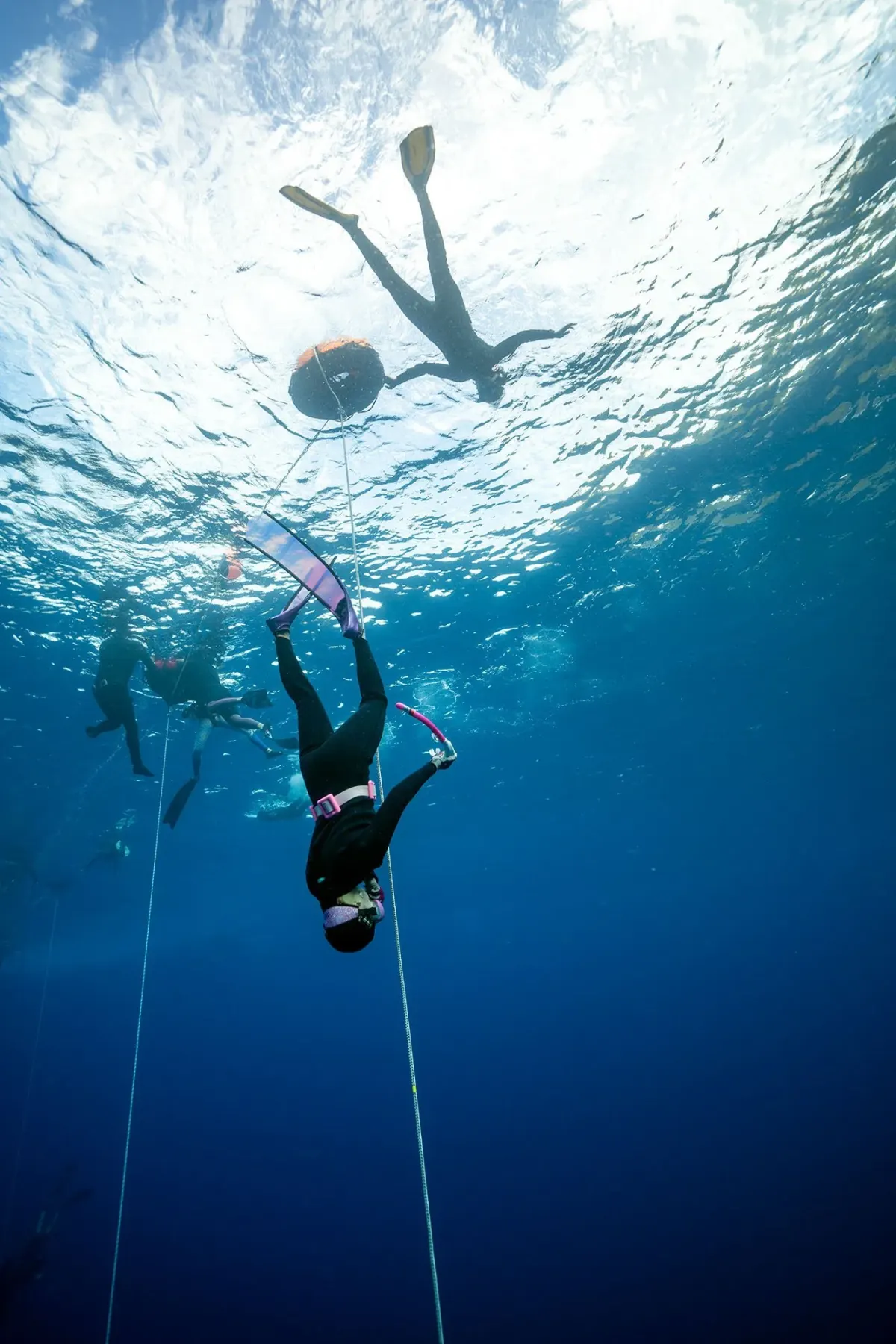 Freedivers and snorkelers during an Orenda ocean adventure near Koh Tao