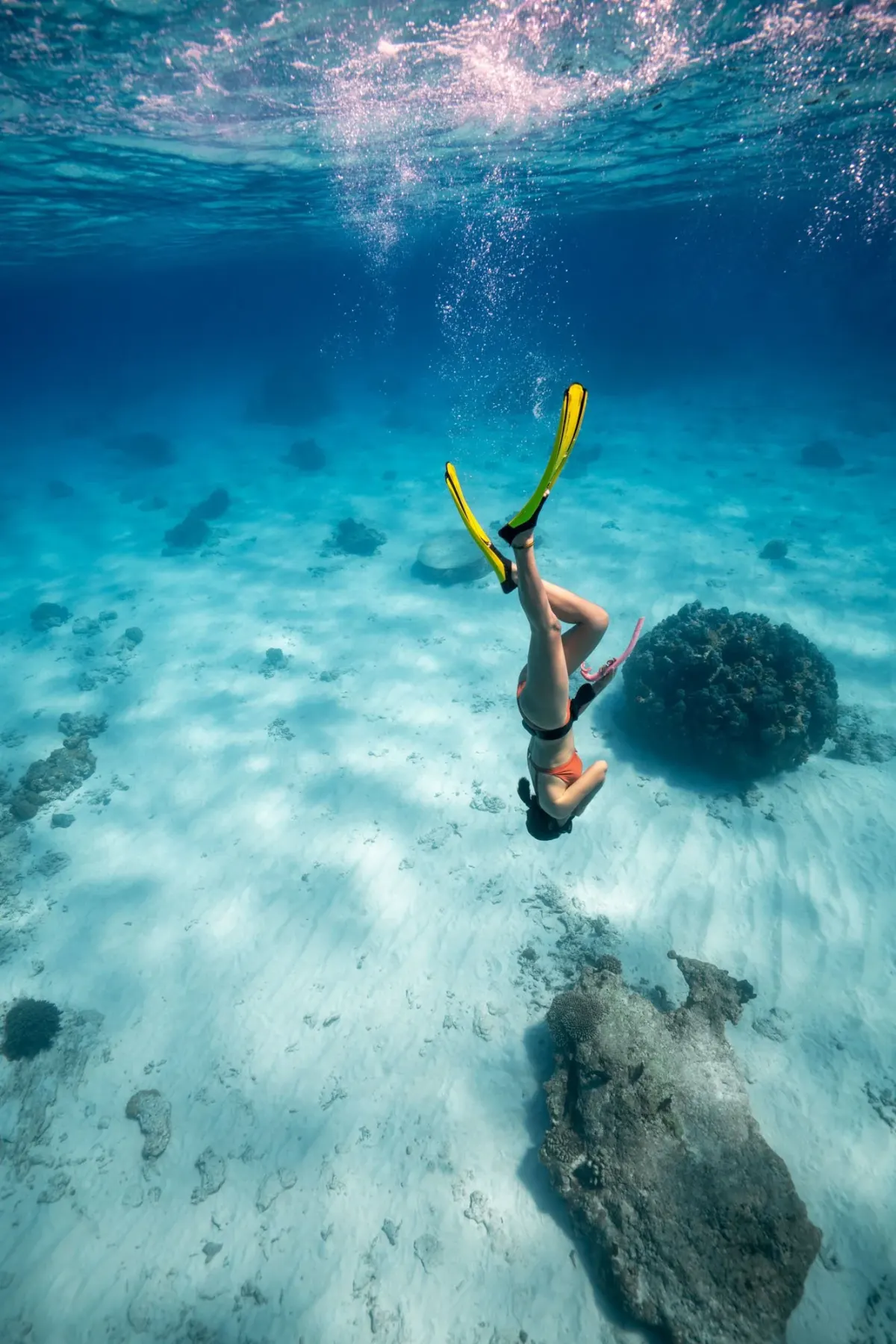 Freedivers and snorkelers during an Orenda ocean adventure near Koh Tao