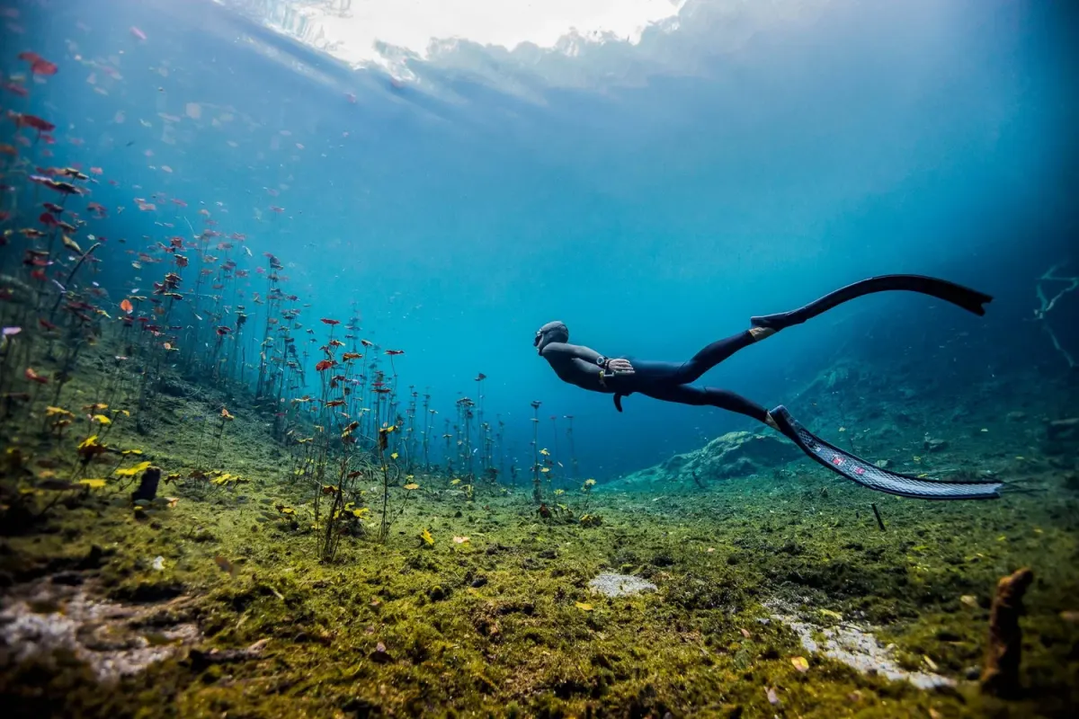 Freedivers and snorkelers during an Orenda ocean adventure near Koh Tao